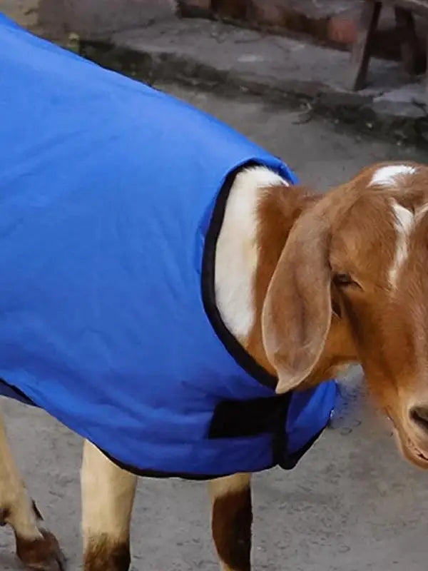 Calf Blanket Blue Waterproof Livestock Protector Blanket Oxford Fabric Thickened Calf Coat Calf Warmer Soft Protector Jacket