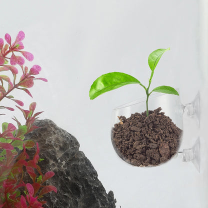 UXCELL Aquarium Glass Fish Tank Planter with Suction Cups Aquarium Plants Cup Aquatic Plant Pots Fish Tank Accessories