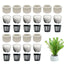 20/10pcs/set Aquatic Plants Fixed Ring Set Anti-Floating Water Plant Anchor Weights Pot Aquarium Decoration Fish Tank Landscape