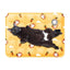 Dog Mat Cooling Summer Pad Mat For Dogs Cat Blanket Sofa Pet Dog Bed Summer Washable For Small Medium Large Dogs Cat