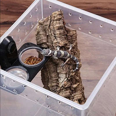 Reptile Food Bowl Feeding Bowl For Geckos Reptile Food Bowls And Water Dish For Lizard Small Pet Feeder Ledge Accessories