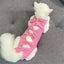 Cat Recovery Suit Breathable Cat Surgery Recovery Suit Onesies Female Kitty Castration Abdominal Wound Recovery Clothing Outfits