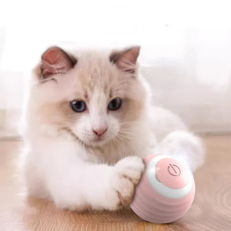 Cat Interactive Ball Training Self-moving Kitten Electric Cat Ball Tovs Elect ronic Automatic Rolling Magic Ball Toys for Cat