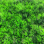 Fish Tank Aquarium Artificial Underwater Plant Lawn Aquarium Accessories Decor Green Fake Water Plants Plastic Artificial Decor