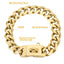 19MM Chew Proof Gold Dog Chain Collar Stainless Steel  Collars with Solid Buckle Pet Chains for Large Dogs