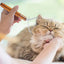 Pet Hair Comb Pet Hair Remover Cats Grooming Comb Non-Slip Pet Hair Comb with Wooden Handle and Comfortable Grip for Home Pet