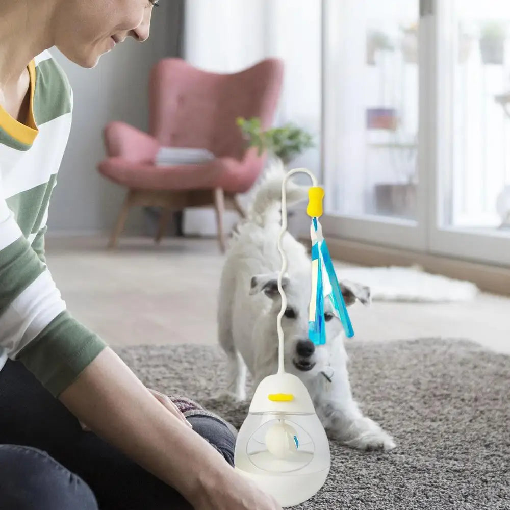 Interactive Cat Toys Cat Fun Interactive Games Interactive Ball Cat Puzzle Feeder Cat Food Puzzle Cat Food Ball Cat Snacks
