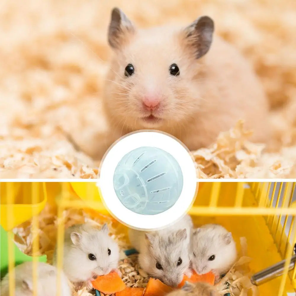 Hamster Exercise Balls With Traction Rope Transparent Hamster Running Ball Wheel Safe Hamster Exercise Balls Pet Supplies