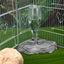 Terrarium Lizard Kennel Reptile Accessories Gecko Food and Water Dish Waterer Animals Dispenser Turtle Bearded Dragon fish Tank