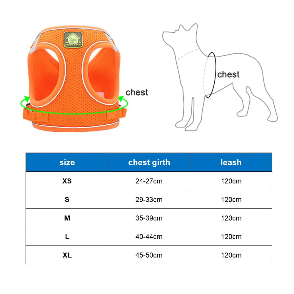 Breathable Cat Harness with Leash Anti-Escape Cat Vest Harness Collar for Kitten Pet Accessories Adjustable Puppy Harness Leads