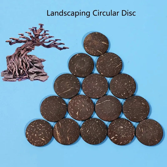 10/20/50PcsNatural Coconut Shell Wood Aquarium Decoration Circular Slice Artwork Decor Landscaping Fish Tank Ornament Background