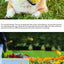Pet toy ball chews, cleans teeth, is resistant to biting, cat toy chews, emits sound, elastic dog toy ball