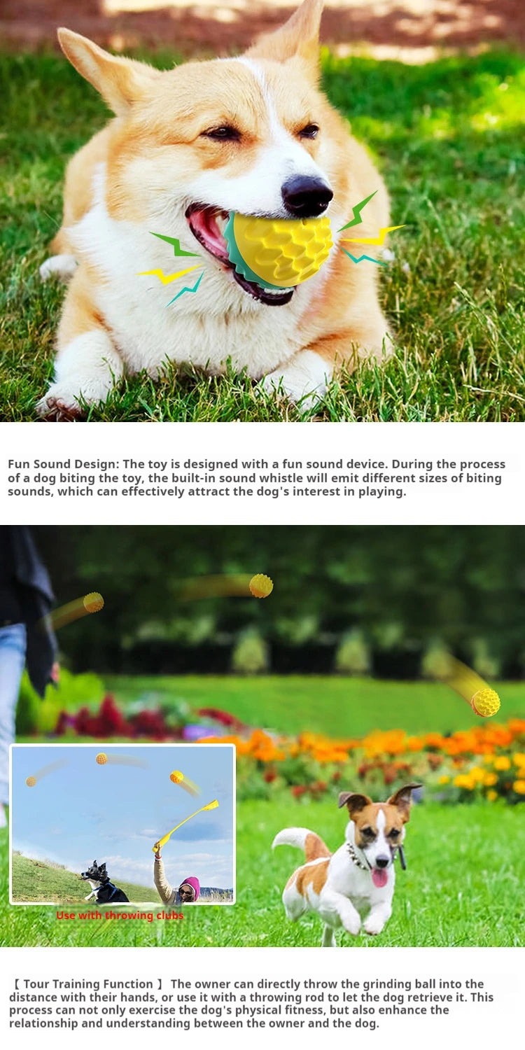 Pet toy ball chews, cleans teeth, is resistant to biting, cat toy chews, emits sound, elastic dog toy ball
