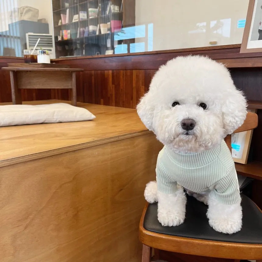 Fashion Pet Dog Bottoming Shirt Puppy Solid Color Clothes Winter Teddy Warm Two Legged Clothing Pet Poodle Pullover Dog Jackets