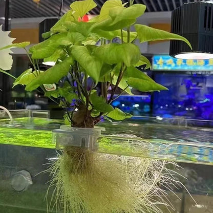 Aquarium Planting Basket Hydroponic Support Hangable Fish Tank Water Grass Cup Aquatic Plant Holder Wall Hanging Flower Pots New