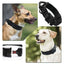 Doberman Pinscher Big Dog Collar and Leash Outdoor Train Pet Collars for Medium Large Dogs German Shepherd mascotas Accessories