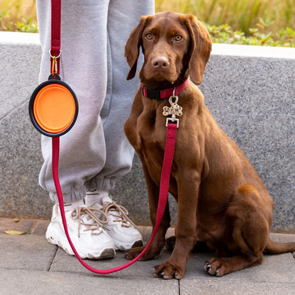 Collapsible Dog Bowls Portable Travel Dog Bowls Expandable for Cat Dog Water Bowl Food Feeding Dish Silicone Pet Bowl 350/1000ml