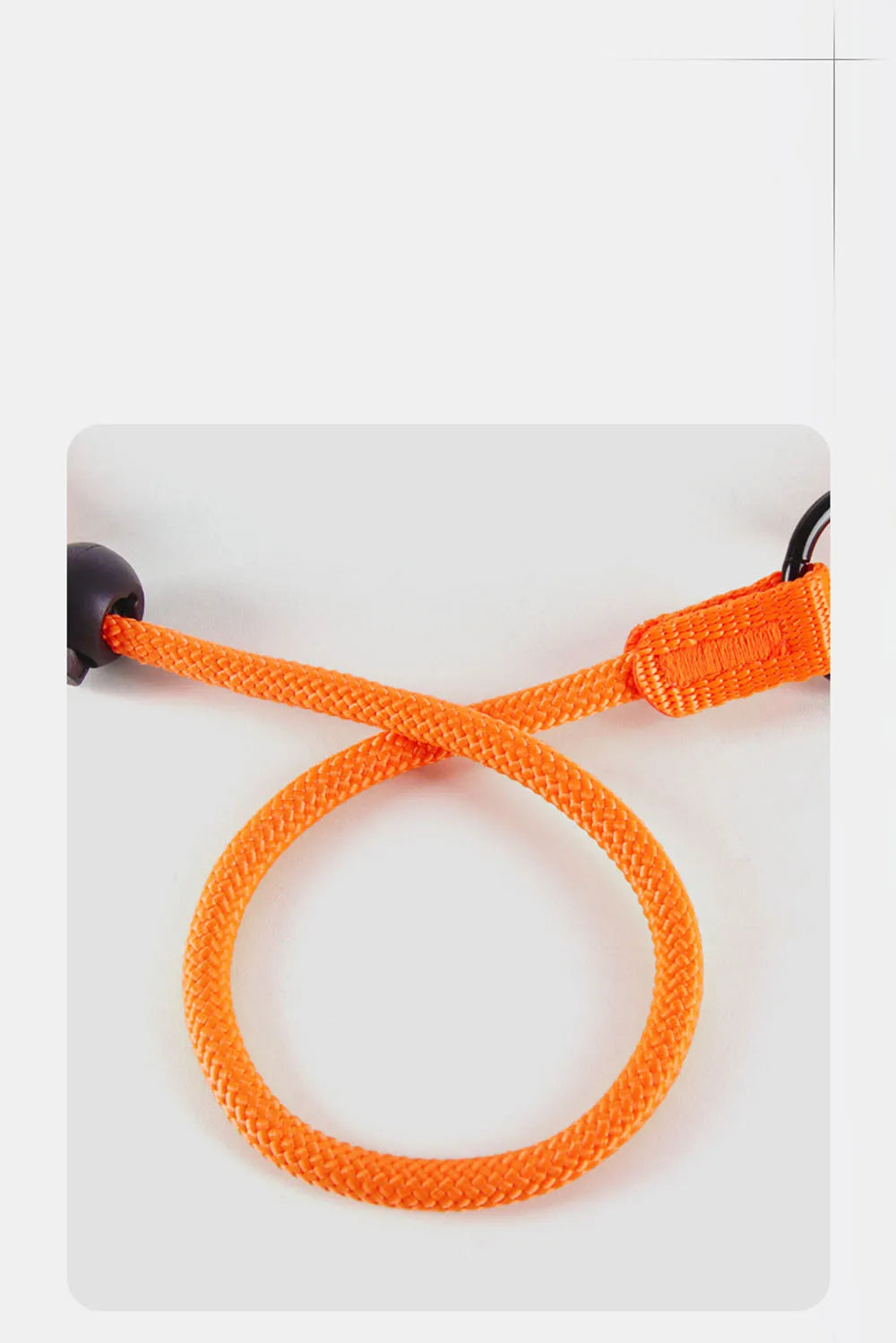 Dog Slip Lead Dog Cinch Leash with Padded Handle No-Pull Dog Slip Leash and Collar Heavy Duty & Durable for All Breeds Training