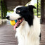 Pet Dog Toy Interactive Rubber Squeaky Ball Dog Toy Bite-resistant High Bounce Puppy Ball Interactive Playing for Dogs Toys