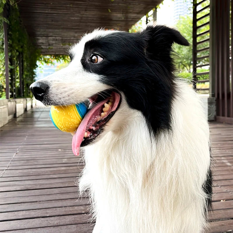 Pet Dog Toy Interactive Rubber Squeaky Ball Dog Toy Bite-resistant High Bounce Puppy Ball Interactive Playing for Dogs Toys