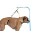 Dog Grooming Loop Noose Wash Choker for Pet Bathing and Grooming Durable Steel No Sit Haunch Holder Grooming Restraint for Dogs