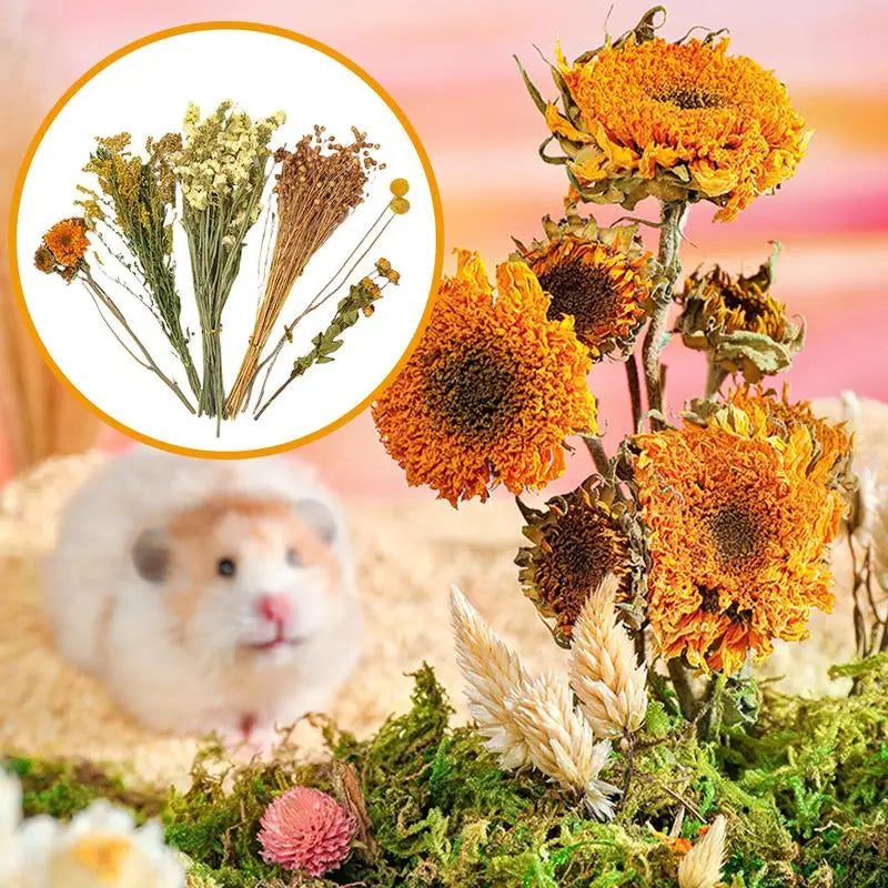Flower And Plant Bedding Hamster Deodorizing Bedding Golden Bear Nest Landscaping Supplies Dried Flowers