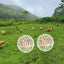 Chicken Safety Ball Cage Spherical 3 Pieces Chicken Cage Pet Safety Cage Ball-Shaped Chicken Hamster Ball Cage Safe Walking Net