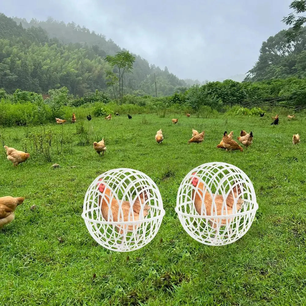 Chicken Safety Ball Cage Spherical 3 Pieces Chicken Cage Pet Safety Cage Ball-Shaped Chicken Hamster Ball Cage Safe Walking Net