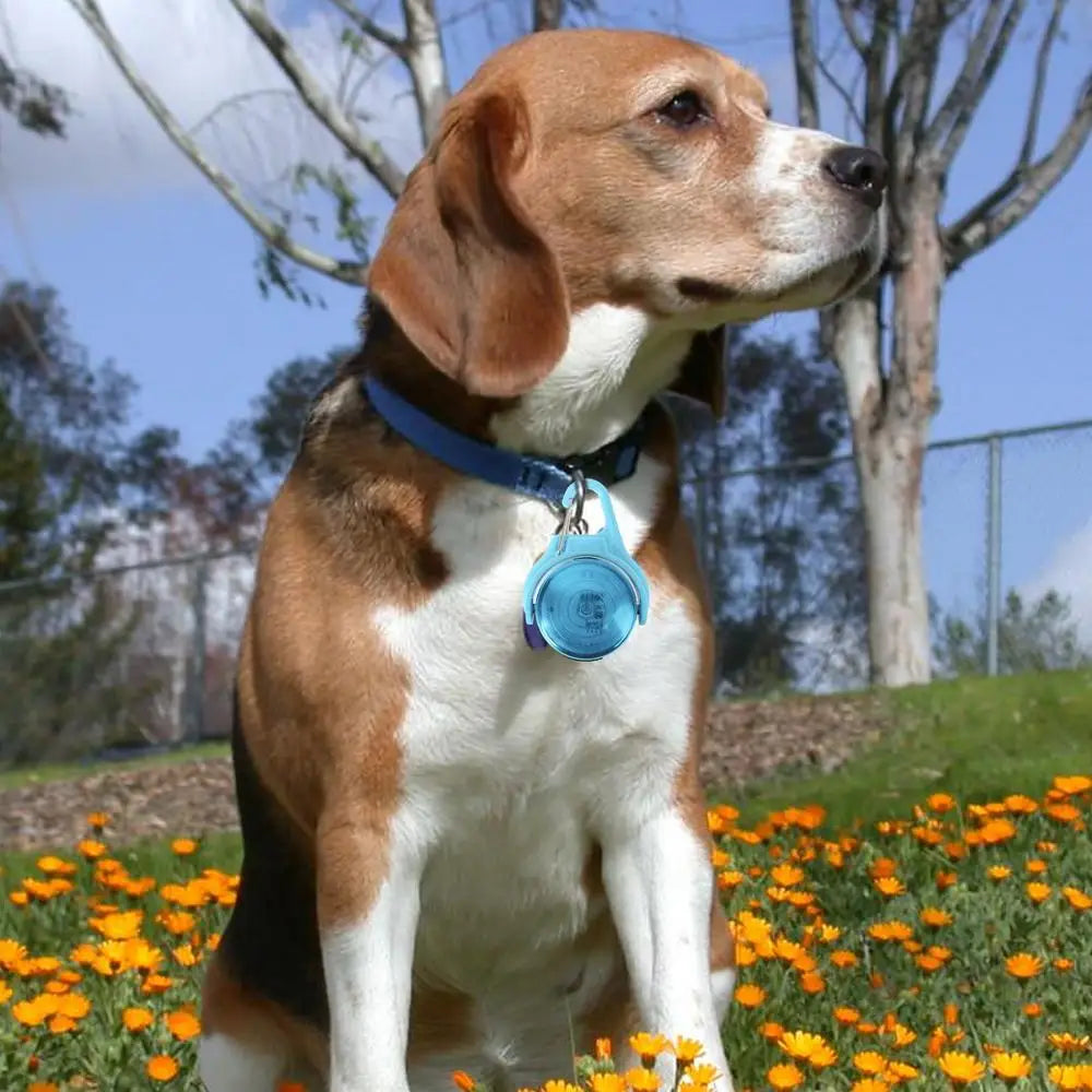 Dog Walking Light 4 Modes Color Changing Dog Lights Light Up Dog Collars LED Dog Light Pet Collars For Night Walking LED Light