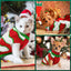 Striped Dog Sweater Dress Winter Knitted Pet Dog Skirt Puppy Coat Dog Warm Clothes Labrador Jacket Costume for Small Large Dogs