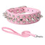 Spiked Dog Collar And Leash Set, Rivet Leather Dog Collar Adjustable Dog Collar For Outdoor Walking