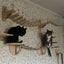 Cat Bridge Wall Mounted Wooden Furniture Scratcher Kitty Beds Perches Stable Cats Wall Shelves For Sleeping Playing Climbing