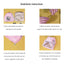 Cat Broken Flower Tent Semi Enclosed Internet Celebrity Tent Nest Universal For All Seasons Pet Supplies Summer Dog And Cat Nest