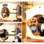 Pet natural birch hairball decoration, kennel wooden house, pet tent shed design