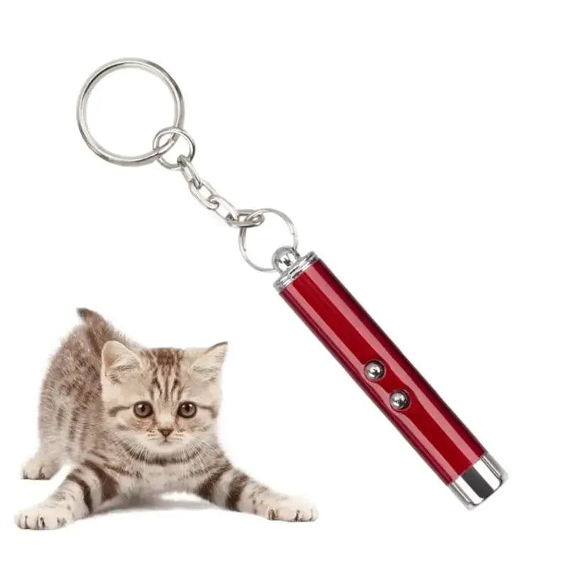 Laser Pointer for Cats Interactive Cat Laser Toy Pet Enrichment Toys for Indoor Cat to Play and Exercise
