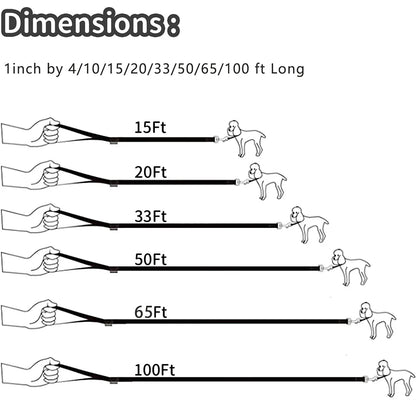 10m 15m 20m 30m Long Nylon Pet Dog Leash Obedience Recall Training Lead, Small Medium Large Dog Lanyard Tracking Rope