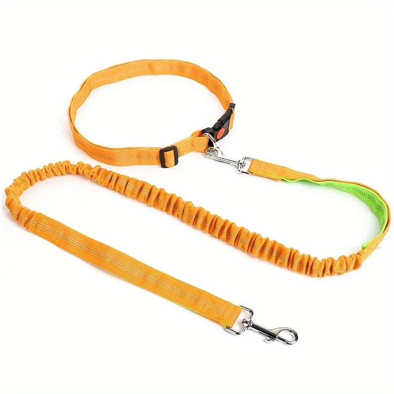 Dog Leash Supplies Free Hands Classic Harness Collar Big Pet Accessories Small Set Dogs Large Suit