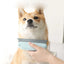 Pet Hair Remover Brush Dog Cat Hair Remover Efficient Pet Hair Detailer For Cars Furniture Carpets Clothes Pet Beds Chairs