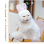 Plush Rabbit Ears Pet Dog Accessories Cosplay Cat Hat Winter Lovely New Year Christmas Puppy Headgear Soft Velvet Pet Supplies