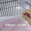 Mesh Bird Cage Cover Shell Skirt Net Easy Cleaning Catcher Guard Bird Cage Stretchy Mesh Parrot Bird Cage Net Jaula Para Pajaros