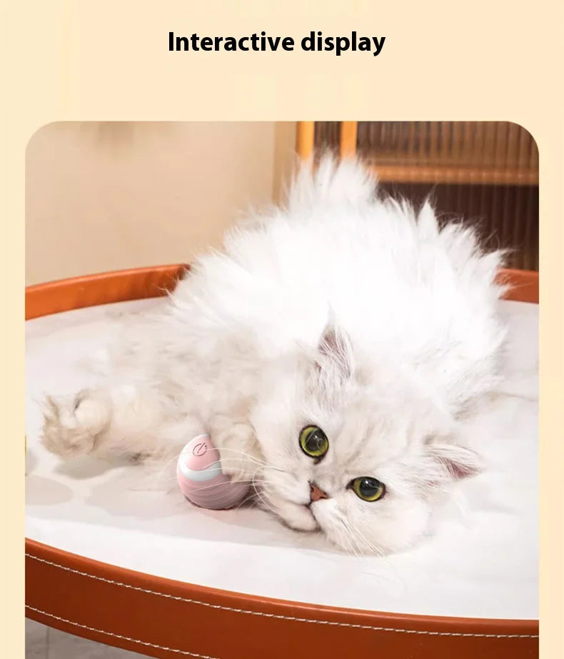 Pet automatic cat teasing ball cat toy for self fun and relaxation, rolling ball pet gravity cat toy