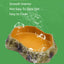 Pet Reptile Feeder Bowl Resin Aquarium Basin Food Water Pot Reptile Turtle Tortoise Scorpion Lizard Crabs Feeding Supplies New