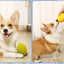 Safety TPR Squeaky Dog Toys Bite Resistant Pet Chew Toy for Puppy Medium Large Dogs French Bulldog mascotas Interactive Products