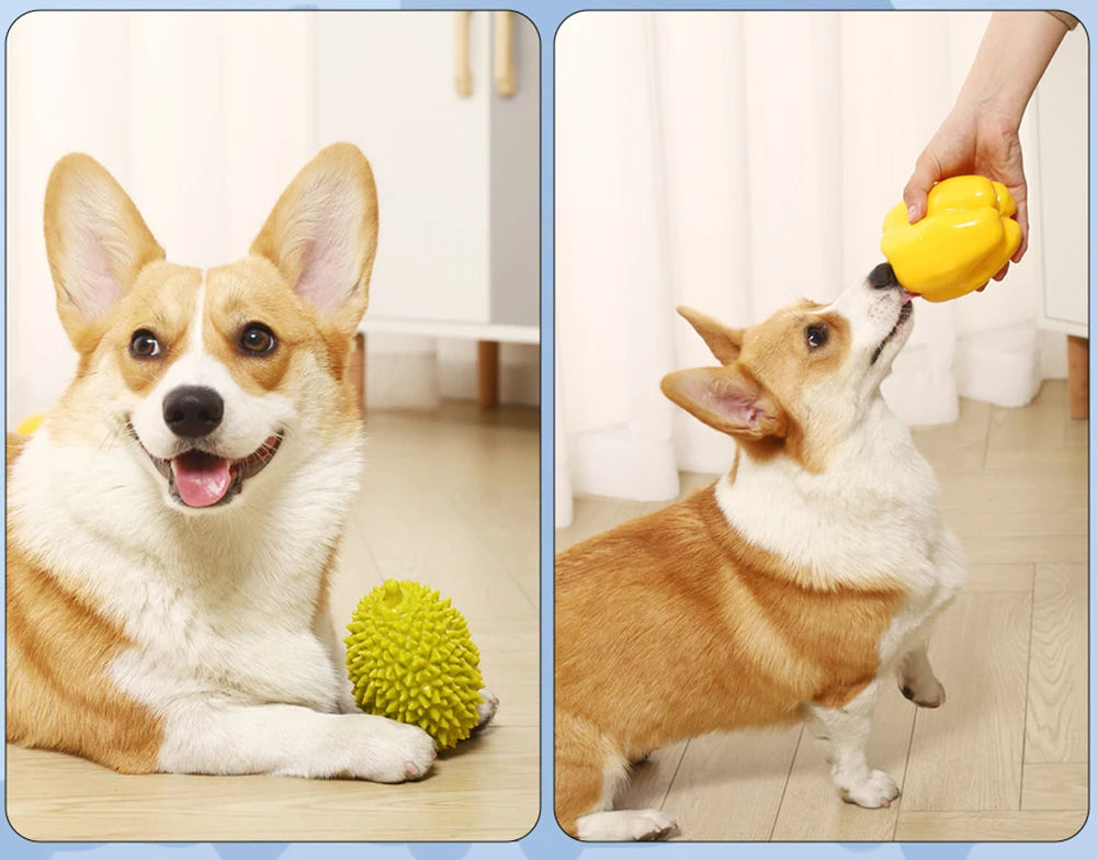 Safety TPR Squeaky Dog Toys Bite Resistant Pet Chew Toy for Puppy Medium Large Dogs French Bulldog mascotas Interactive Products