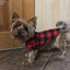 Bowtie Dog Blouse Classical Breathable Plaid T-Shirts Summer Dog Clothes for Small Dogs Puppy Large Cat Vest Chihuahua Yorkies