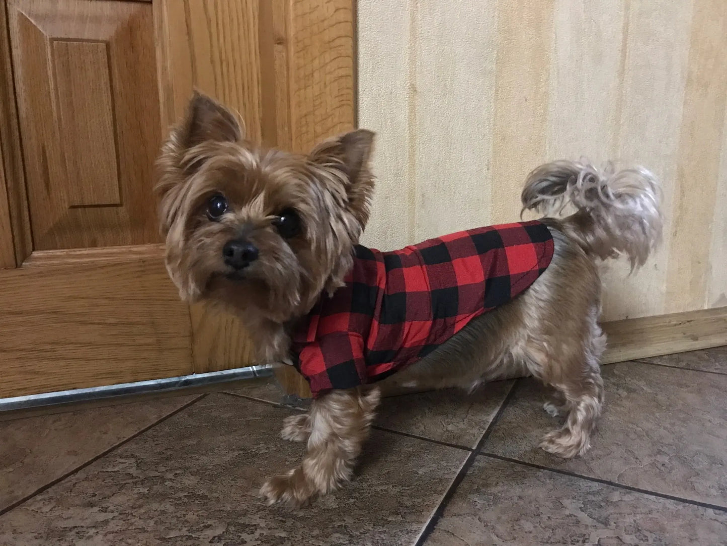 Bowtie Dog Blouse Classical Breathable Plaid T-Shirts Summer Dog Clothes for Small Dogs Puppy Large Cat Vest Chihuahua Yorkies