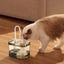 1.5L Cat Water Fountain Automatic for Cat Water Dispenser Accessories Ultra-Quiet Circulating Filtering USB Electric Transparent