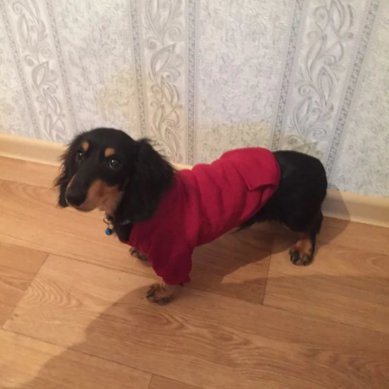 Winter Pet Doggy Clothing Leisure Small Dogs Hoodies Coat for Puppy Soft Warm Cat Dog Sweater Sweatshirt Teddy Chihuahua Clothes