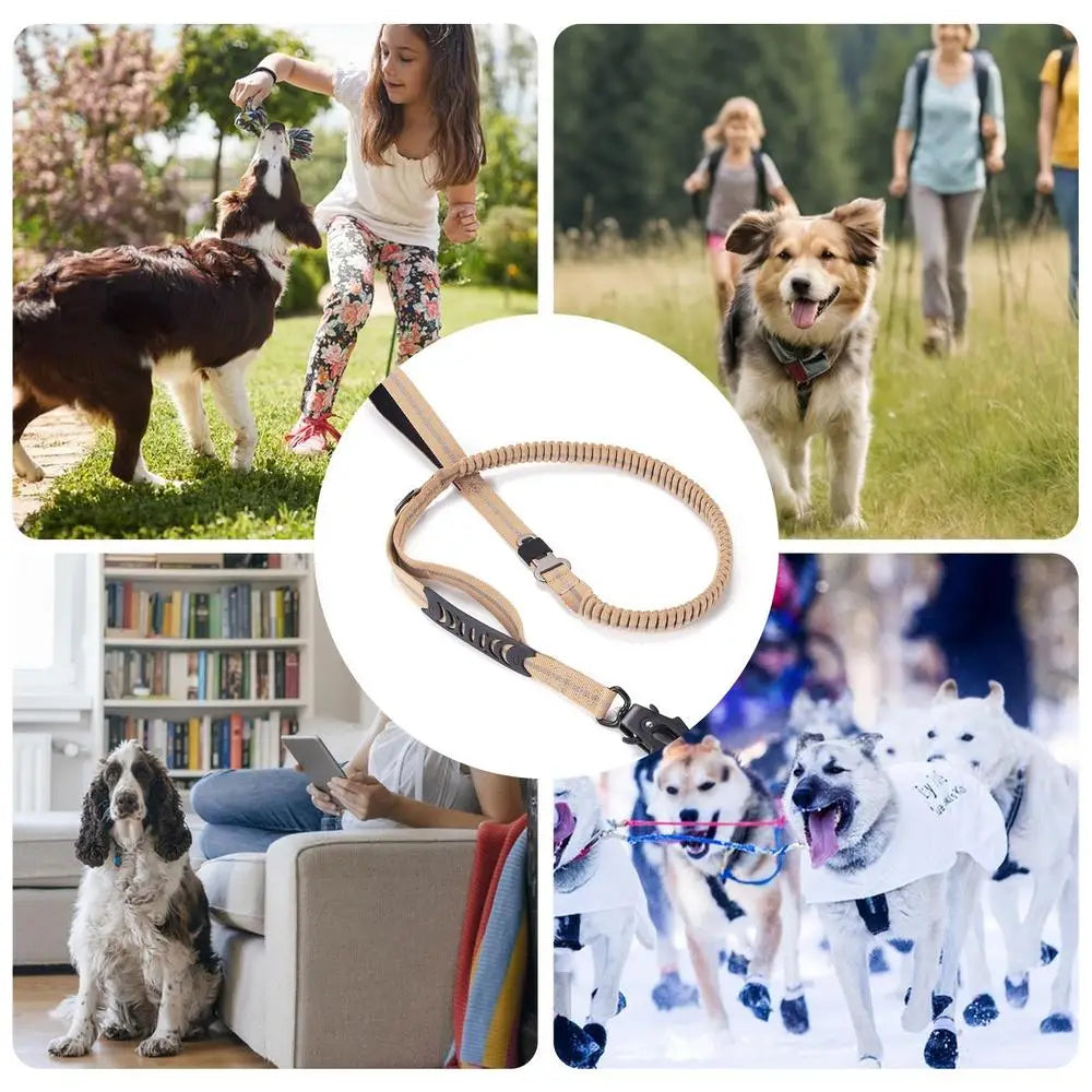 Dog Leashes For Medium Dogs 4.5 Feet Long Dog Leashes For Puppy Shock-Absorbing House For Puppy Training Reflective Bungee Dog