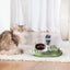Gravity Cat Feeder And Water Dispenser Set 15Tilted Pets Water And Food Bowl Set Curved Bowl Mouth Raised Cat Bowls Pet Food